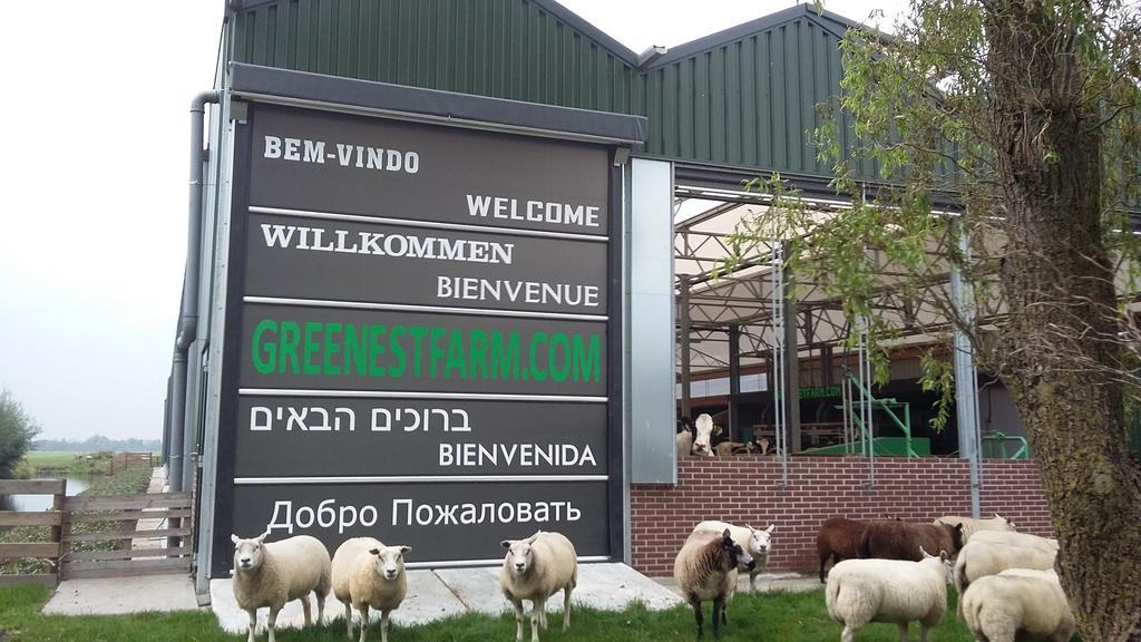 Polsbroek Apud Nos Domiアパートホテル エクステリア 写真